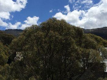 Snowdrift Chalet Hotel Thredbo Exterior foto